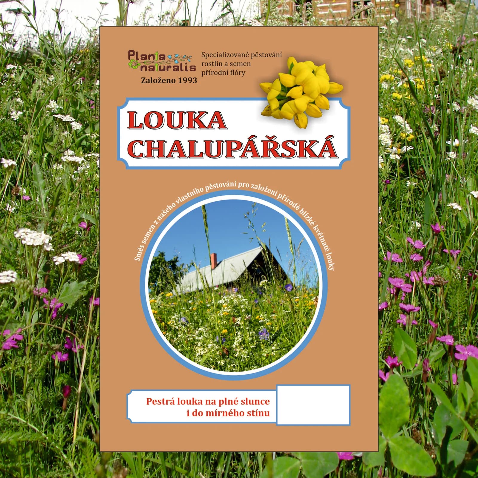 Chalupářská louka - obrázek 1