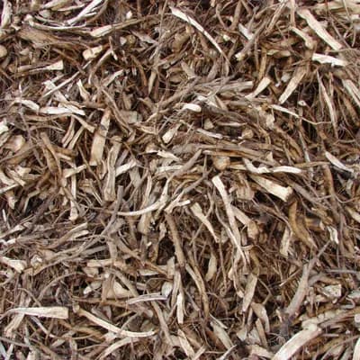 oman pravý - náhled 7