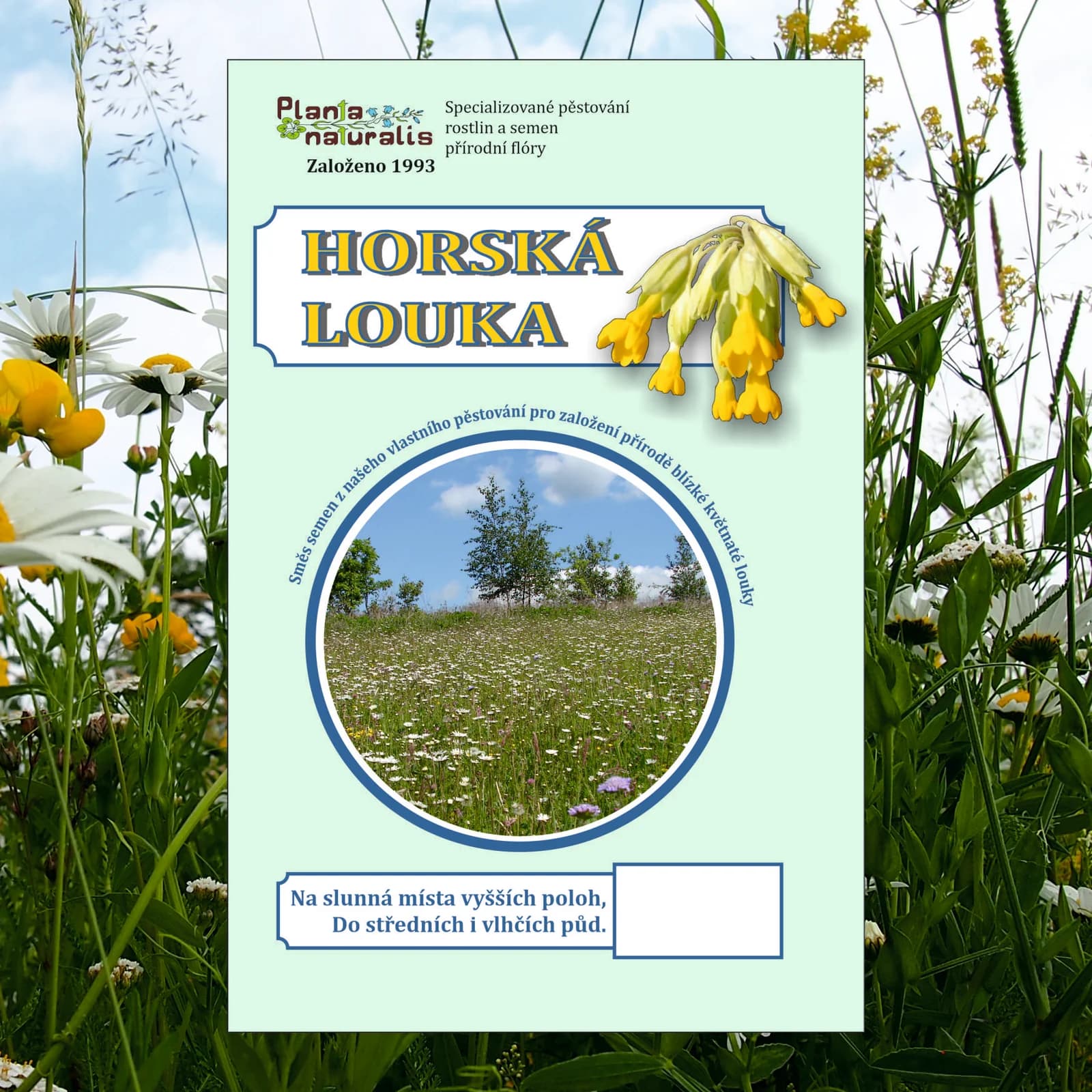 Horská louka - obrázek 1