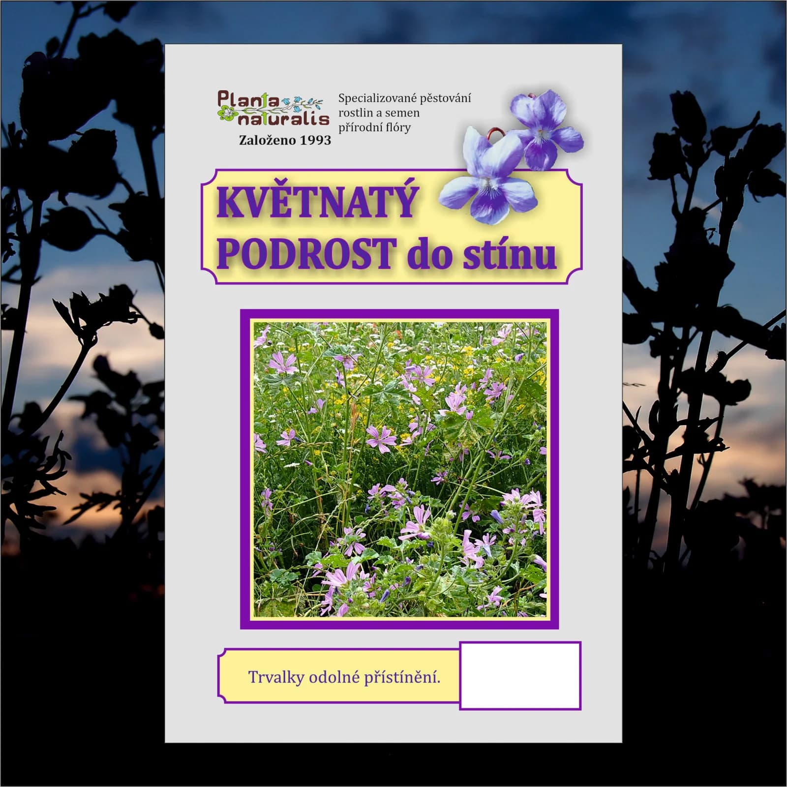 Květnatý podrost do stínu - obrázek 1