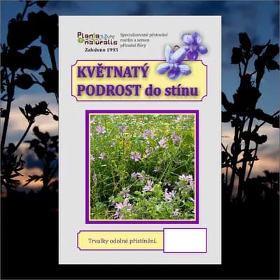 Květnatý podrost do stínu - náhled 1