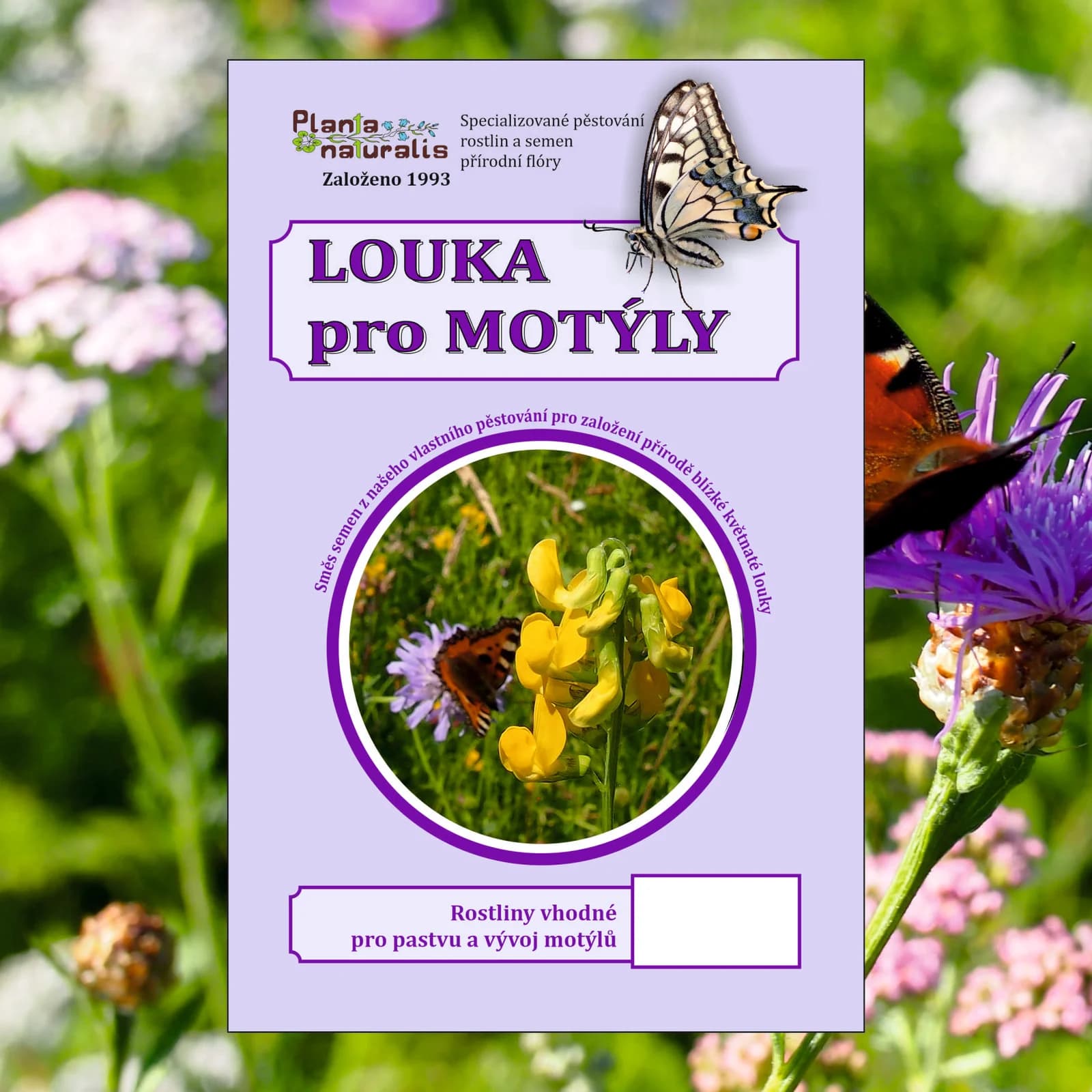 Louka pro motýly - obrázek 1