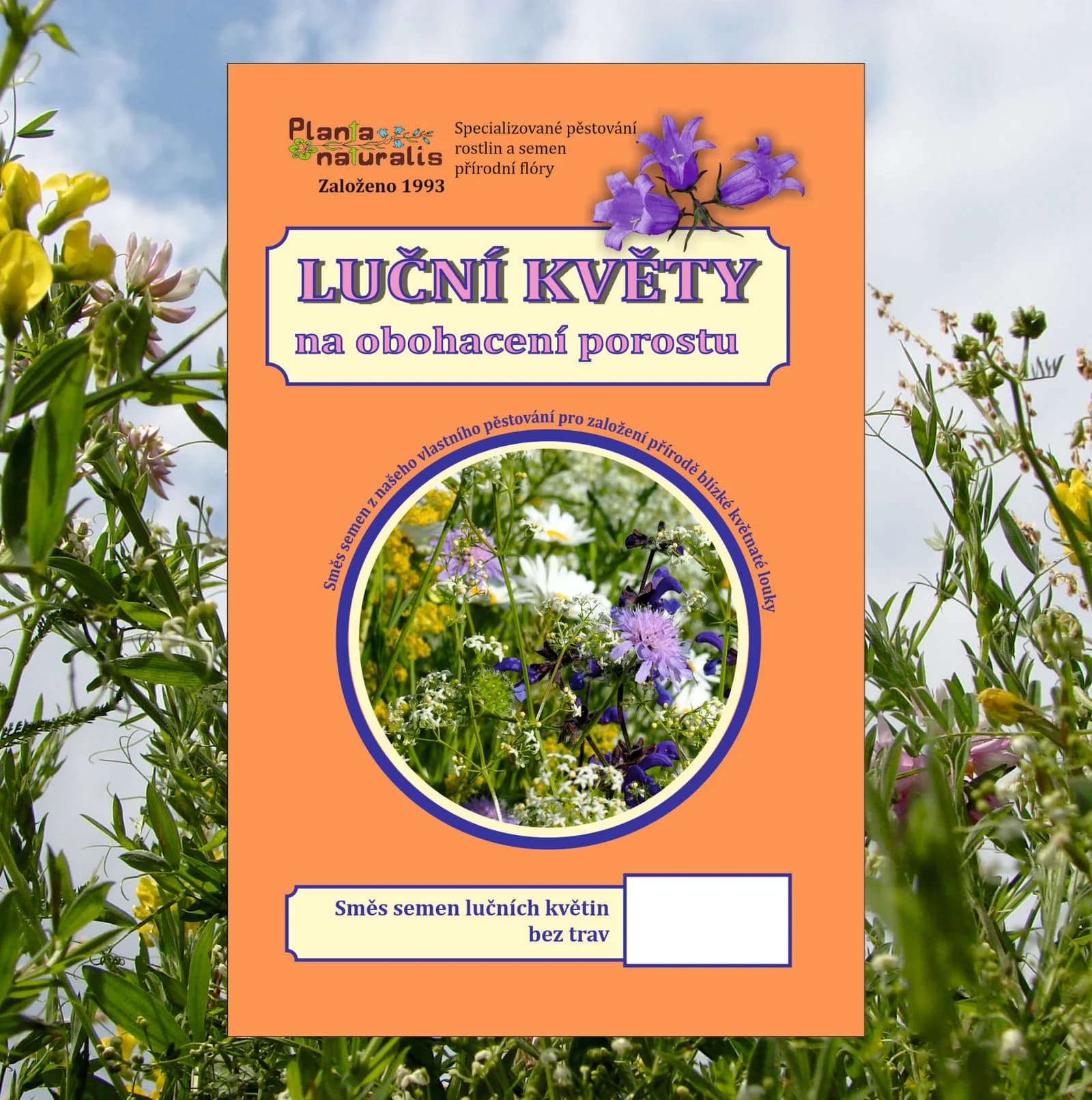 Luční květy - obrázek 1