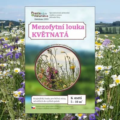 Mezofytní louka – květnatá - náhled 1