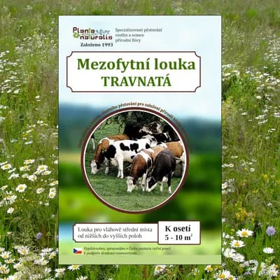 Mezofytní louka – travnatá - náhled 1