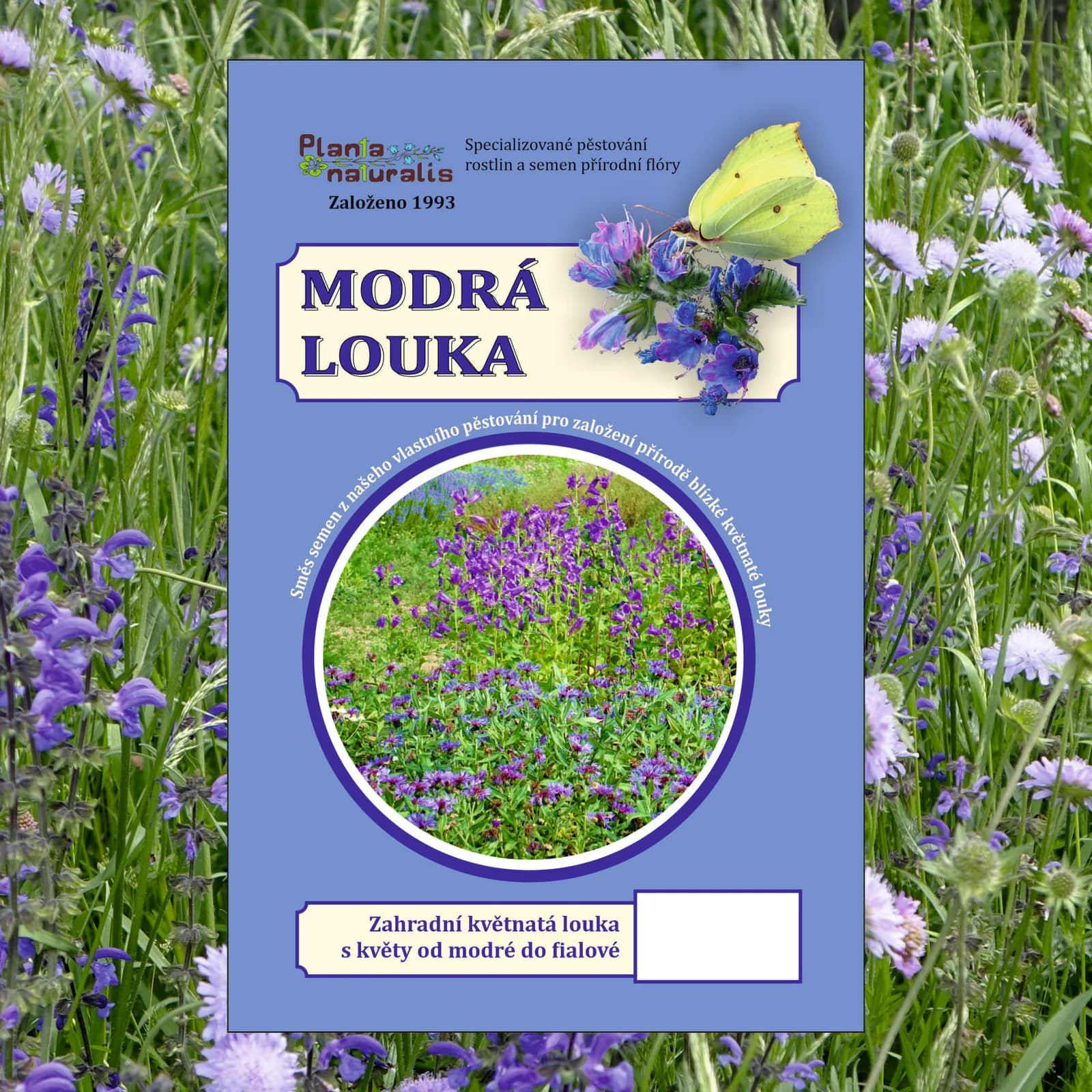 Modrá louka, zvonečková - obrázek 1