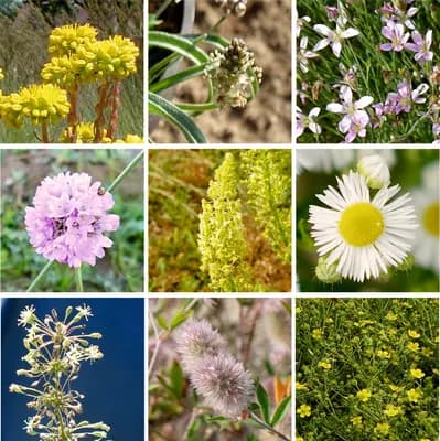 Střešní zahrada - náhled 2