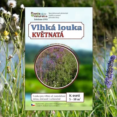 Vlhká louka - náhled 1