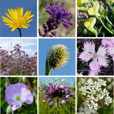 Zahradní loučka - náhled 7