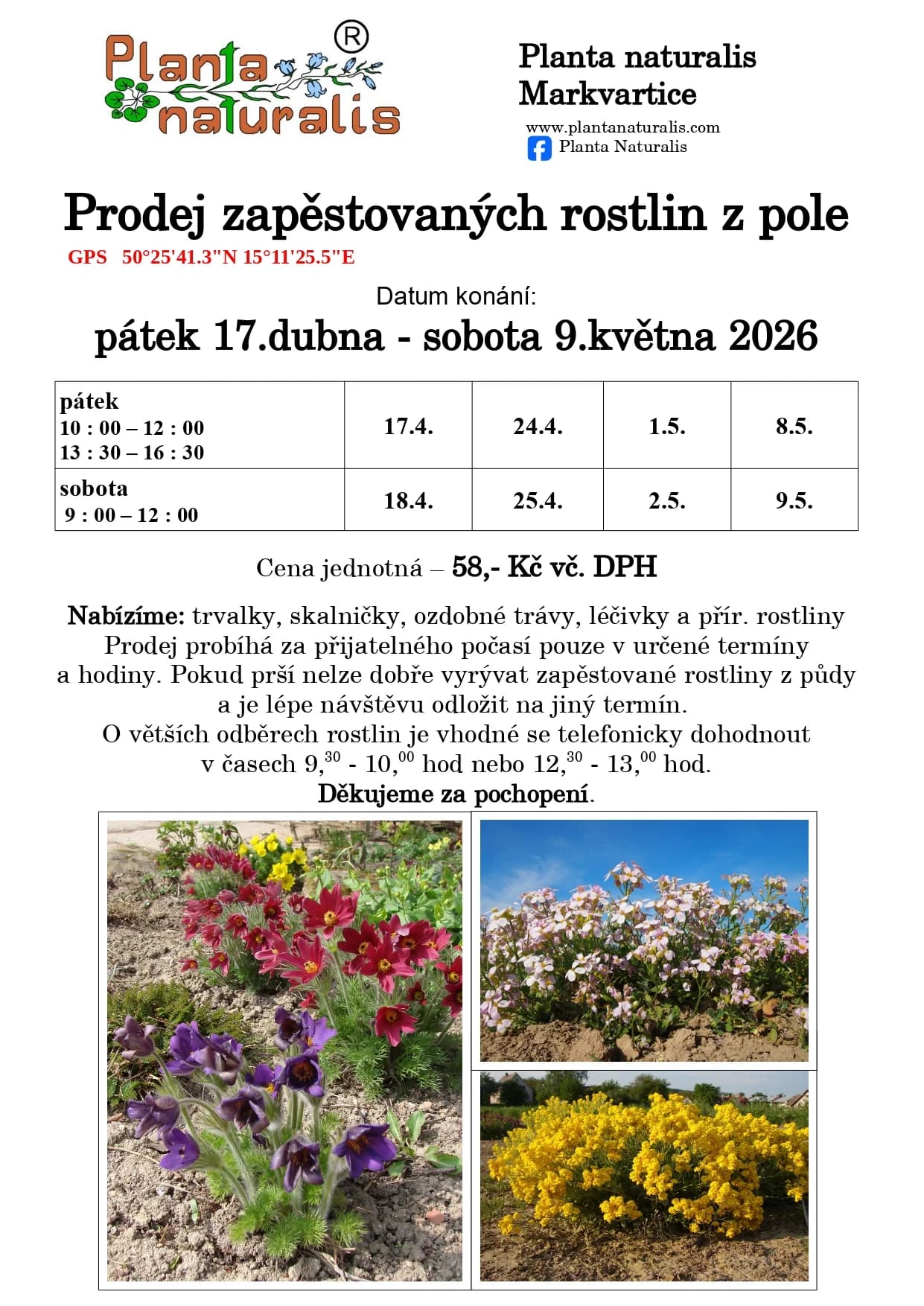 Prodej zapěstovaný rostlin z pole