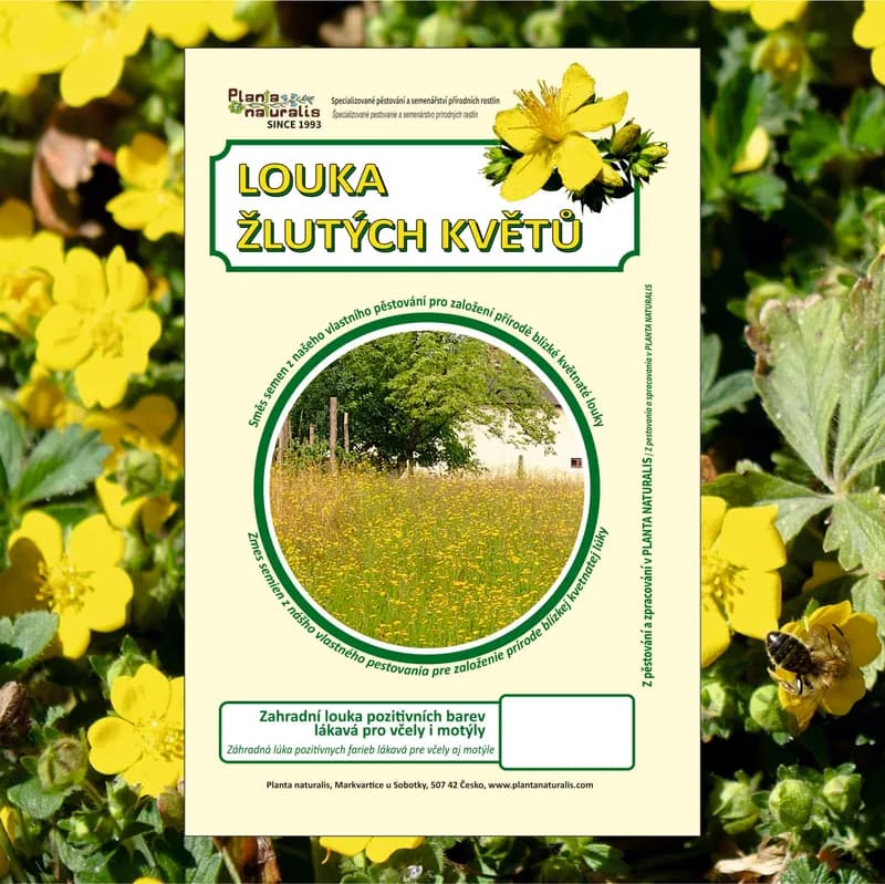 Louka žlutých květů