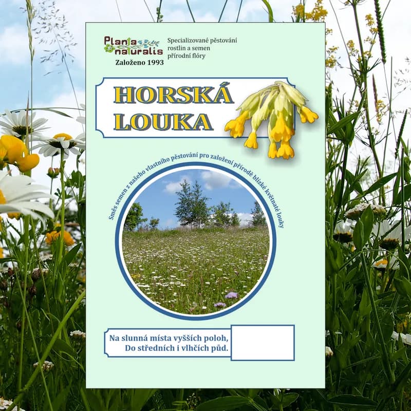 Horská louka