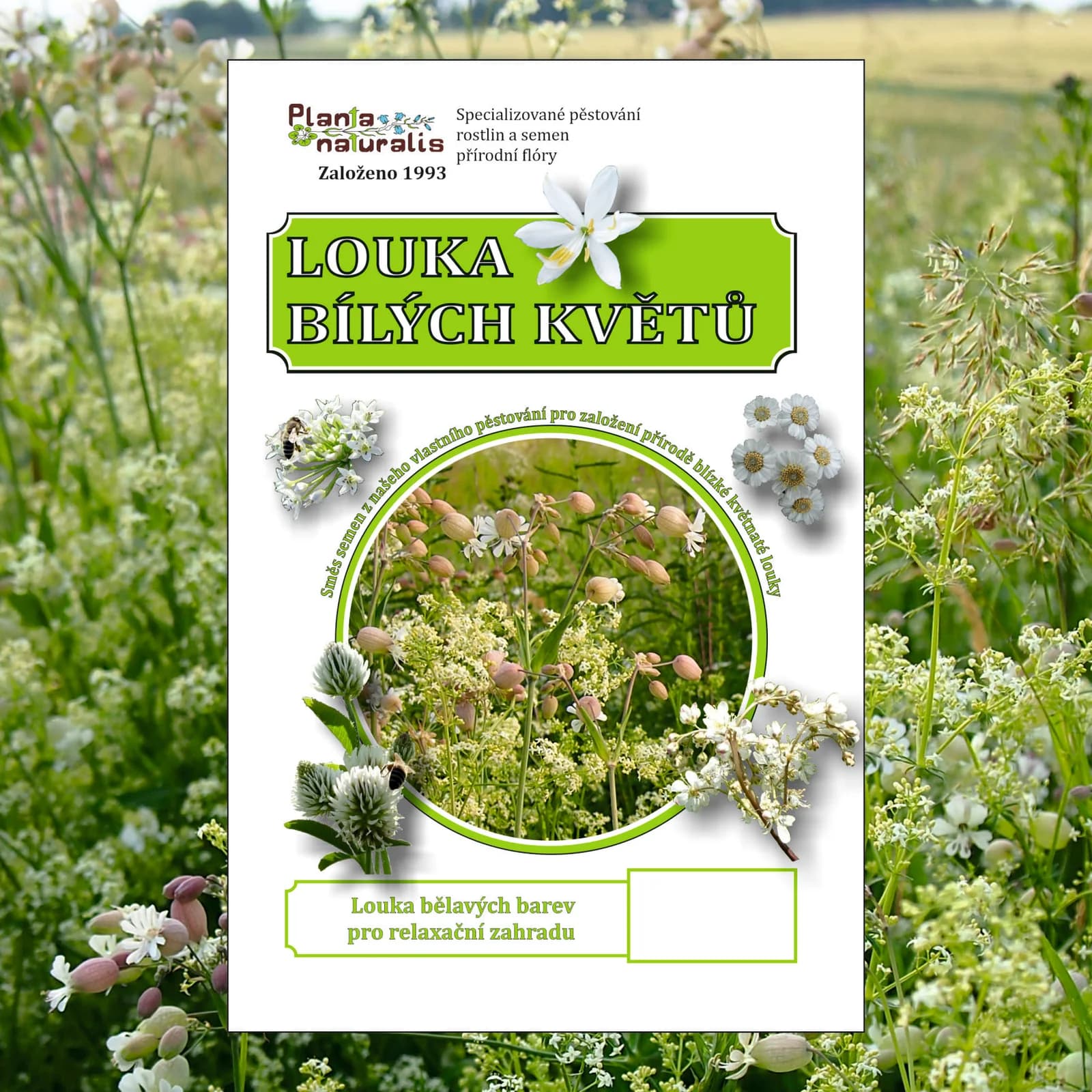 Louka bílých květů - obrázek 1