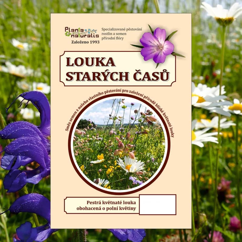 Louka starých časů