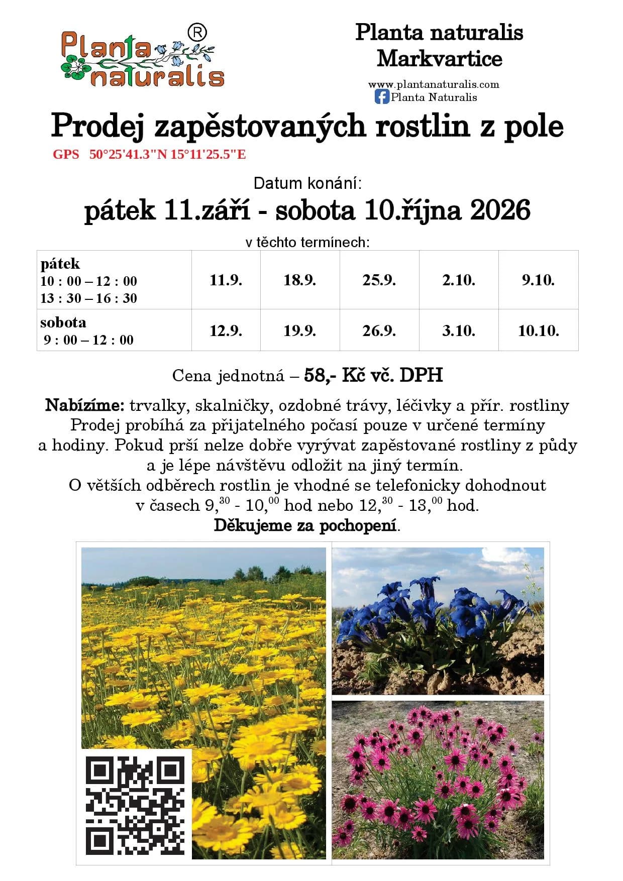 Prodej zapěstovaných rostlin z pole